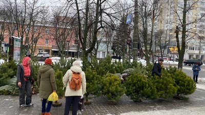 У Черкасах розпочали роботу ялинкові ярмарки У Черкасах розпочали роботу ялинкові ярмарки