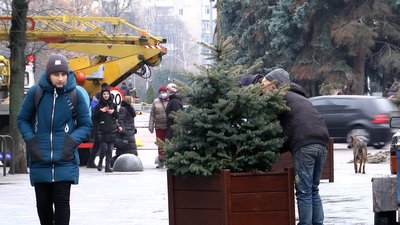 У Житомирі на Михайлівській встановили ялинки у діжках У Житомирі на Михайлівській встановили ялинки у діжках