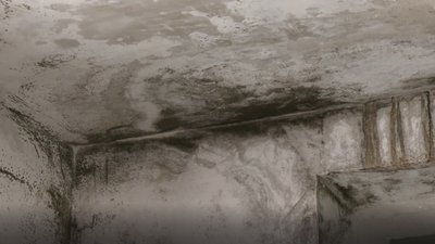 Насильство у Софіївській колонії: знайшли приміщення, де ймовірно знущались над засудженими Насильство у Софіївській колонії: знайшли приміщення, де ймовірно знущались над засудженими