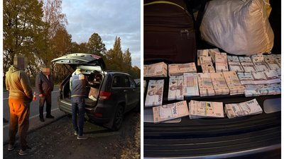 Рубка дубів у 6 областях: ДБР повідомила про підозру підприємцю і лісничому