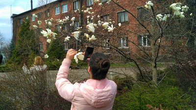 Квітуча сакура, магнолія, форзиція. Що можна побачити в ботсаду в Дніпрі – фоторепортаж Квітуча сакура, магнолія, форзиція. Що можна побачити в ботсаду в Дніпрі – фоторепортаж