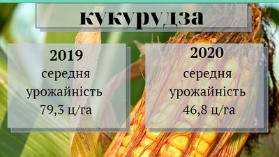 На Черкащині обмолотили 63% площ від запланованого На Черкащині обмолотили 63% площ від запланованого