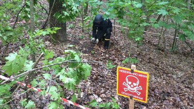 На Черкащині знищили 30 боєприпасів часів війни