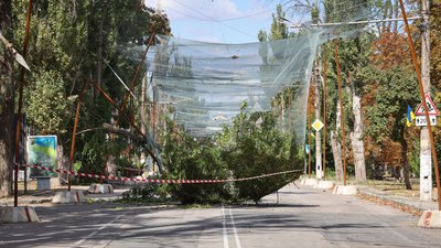 дерево, дрон, антидронова сітка