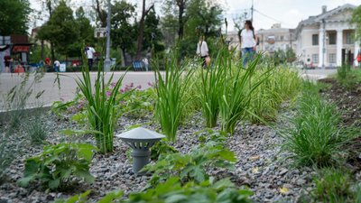У Києві з'явилися дощові садки