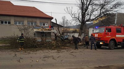 На Закарпатті через негоду дерево впало на дорогу та торгівельну ятку На Закарпатті через негоду дерево впало на дорогу та торгівельну ятку