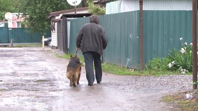 У Полтаві відновили планове щеплення тварин від сказу У Полтаві відновили планове щеплення тварин від сказу