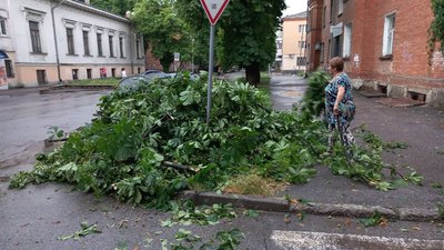 У Полтаві через негоду частково повалило дерева У Полтаві через негоду частково повалило дерева