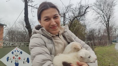 цуценята цуценята