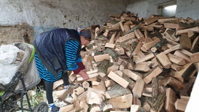 На Кіровоградщині вдвічі перевищує попит на дрова можливості з заготівлі На Кіровоградщині вдвічі перевищує попит на дрова можливості з заготівлі