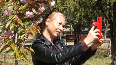 У Миколаєві квітнуть сакури У Миколаєві квітнуть сакури