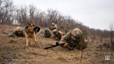 Військові, 53 бригада, 53 ОМБр імені князя Володимира Мономаха