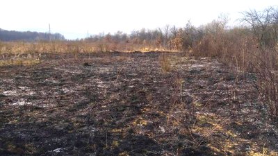 На Закарпатті згоріло понад чотири гектари сухої трави На Закарпатті згоріло понад чотири гектари сухої трави