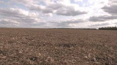 СБУ повідомила про підозру заступниці міністра "ЛНР" у колабораціонізмі