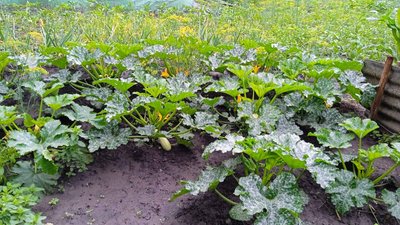 "Ми самі виживали, але завжди допомагали іншим": сєвєродончанка на Хмельниччині відкрила власну справу "Ми самі виживали, але завжди допомагали іншим": сєвєродончанка на Хмельниччині відкрила власну справу