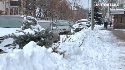 За ніч з 2 на 3 грудня у Полтаві випало 9 сантиметрів снігу