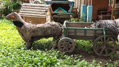 Віз, який зробив Григорій