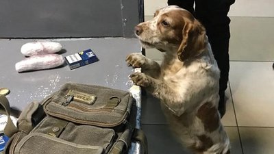 На "Ягодині" затримали чоловіка, який заховав наркотики у спідньому