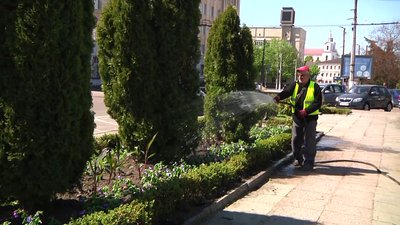 Три з половиною тисячі саджанців квітів висадять на двох міських клумбах Житомира Три з половиною тисячі саджанців квітів висадять на двох міських клумбах Житомира