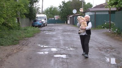 У Полтаві відновили планове щеплення тварин від сказу У Полтаві відновили планове щеплення тварин від сказу