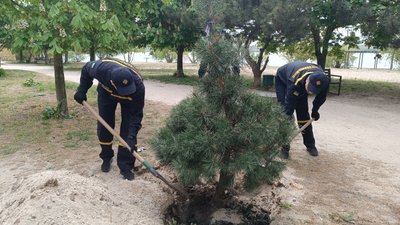 "Дерево – життя громади": в Миколаєві висадили понад 35 дерев