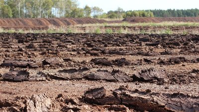 На Полтавщині виявили незаконний видобуток торфу на понад 2 мільйони