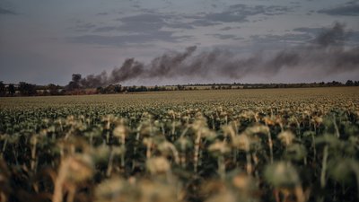 Атаки на Чернігівщині: 17 природо-заповідних об'єктів Чернігівщини потерпають від атак РФ