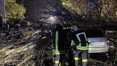 Наслідки негоди в Одесі та області: рятувальники виїздили на виклики п'ять разів
