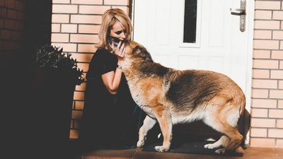 Дівчина з Луцька врятувала понад 50 тварин та допомагає переселенцям з домашніми улюбленцями знайти житло