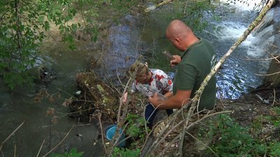 У Житомирі роблять лабораторні дослідження води у Тетереві через аварію на каналізаційній станції