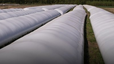 Зернові рукави на Донеччині