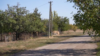 евакуація, війна, Відрадне
