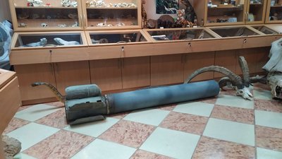"Залишити все це ми не можемо": як працює Миколаївський зоопарк під час війни "Залишити все це ми не можемо": як працює Миколаївський зоопарк під час війни