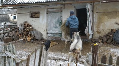 14-річний юнак щодня приходить до хати, де мешкав зі своєю матір'ю, годувати живність 14-річний юнак щодня приходить до хати, де мешкав зі своєю матір'ю, годувати живність
