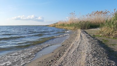 На трьох пляжах Миколаєва перевищено показник індексу кишкової палички