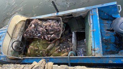В Одеській області два браконьєри виловили 400 кг риби — поліція В Одеській області два браконьєри виловили 400 кг риби — поліція