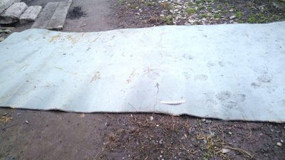 Поліція знайшла жінку, яка вкрала імітований сніг з-під ялинки на Рівненщині