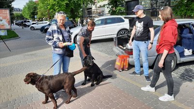 Зої з Бучі дали корм для її собак Зої з Бучі дали корм для її собак