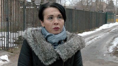 Безхатні тварини взимку Безхатні тварини взимку