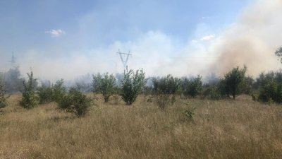 У Корабельному районі Миколаєва вигоріло три гектари землі