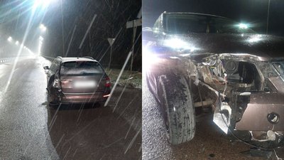 ДТП горбаків ДТП горбаків