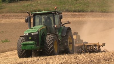 Цього року врожайність зернових на Черкащині нижча - Яріш