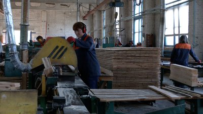 Європа замість Китаю: підриємство на Чернігівщині змінило ринки збуту деревини Європа замість Китаю: підриємство на Чернігівщині змінило ринки збуту деревини