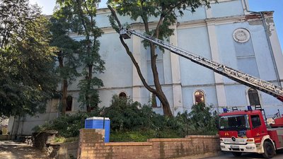 обрізка аварійних дерев біля кінотеатру чернівці