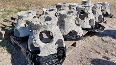 У Березанському лимані встановили вісім штучних рифів
