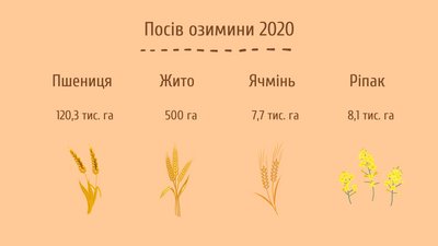 Удвічі менша врожайність: на Черкащині завершився збір урожаю Удвічі менша врожайність: на Черкащині завершився збір урожаю