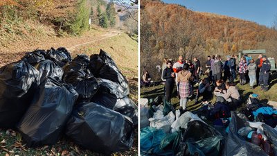На Закарпатті волонтери прибирали від сміття береги Вільшанського водосховища На Закарпатті волонтери прибирали від сміття береги Вільшанського водосховища