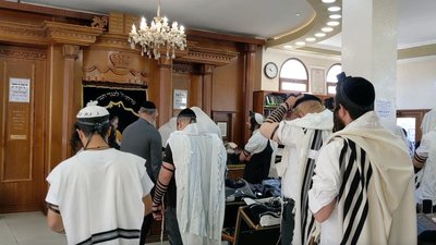 Моляться за мир: в Умань приїхали хасиди Моляться за мир: в Умань приїхали хасиди