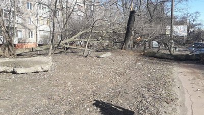 Негода у Чернігові: повалило дерева, зірвало дахи, пошкодило магазин