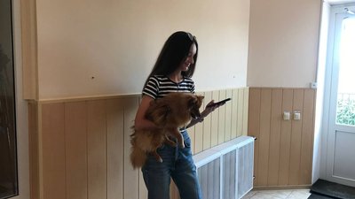 Нові правила ввезення тварин у Польщу: що слід знати жителям Полтавщини Нові правила ввезення тварин у Польщу: що слід знати жителям Полтавщини